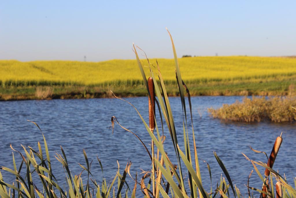 فيلا Agro Nad Stawem جوكوفو المظهر الخارجي الصورة